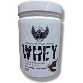 Circle Nutrition Whey Protein 400 gr Çikolata Aromalı Takviye Edici Gıda