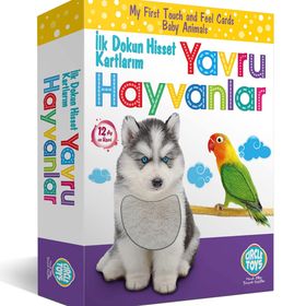 Circle Toys CRCL024 Dokun Hisset Yavru Hayvanlar
