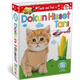 Circle Toys Dokun Hisset Tanı Kart Oyunu Puzzle