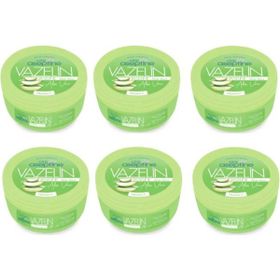 Cire Aseptine 6x150 ml Aloe Vera Vazelin