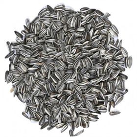 Çırpan 250 gr Mikro Çizgili Küçük Çekirdek