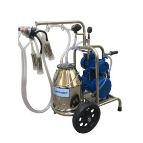 Çırpanbey Paslanmaz Bir Güğümlü Tekli Süt Sağım Makinesi