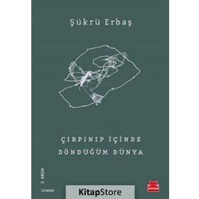 Çırpınıp İçinde Döndüğüm Dünya - Şükrü Erbaş