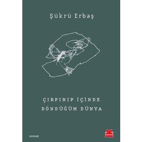 Çırpınıp İçinde Döndüğüm Dünya - Şükrü Erbaş