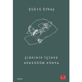 Çırpınıp İçinde Döndüğüm Dünya - Şükrü Erbaş