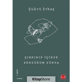 Çırpınıp İçinde Döndüğüm Dünya - Şükrü Erbaş