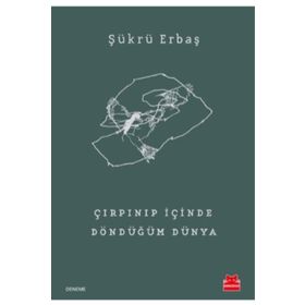 Çırpınıp İçinde Döndüğüm Dünya - Şükrü Erbaş