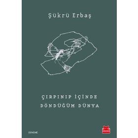 Çırpınıp İçinde Döndüğüm Dünya - Şükrü Erbaş