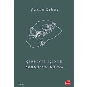 Çırpınıp İçinde Döndüğüm Dünya - Şükrü Erbaş