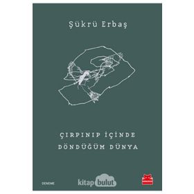 Çırpınıp İçinde Döndüğüm Dünya - Şükrü Erbaş