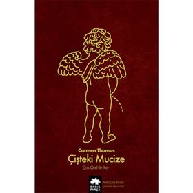 Çişteki Mucize - Eksik Parça Yayınları