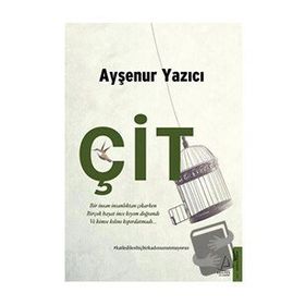 Çit Ayşenur Yazıcı Destek Yayınları