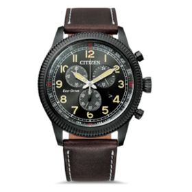 Citizen AT2465-18E Erkek Kol Saati