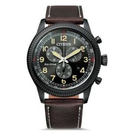 Citizen AT2465-18E Erkek Kol Saati