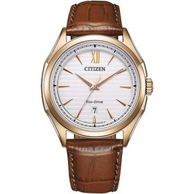 Citizen AW1753-10A Eco-Drive Erkek Kol Saati