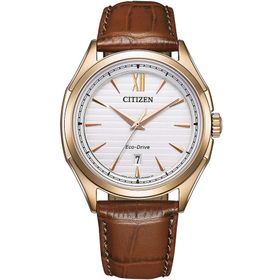 Citizen AW1753-10A Eco-Drive Erkek Kol Saati