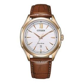 Citizen AW1753-10A Eco-Drive Erkek Kol Saati