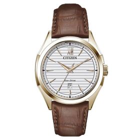 Citizen AW1753-10A Eco-Drive Erkek Kol Saati