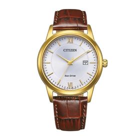 Citizen AW1782-11A Erkek Kol Saati