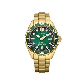 Citizen BN0262-59W Kol Saati