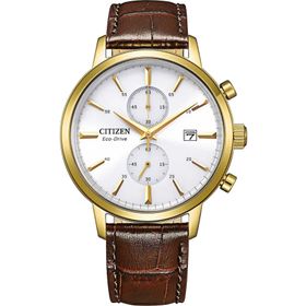 Citizen CA7062-15A Erkek Kol Saati