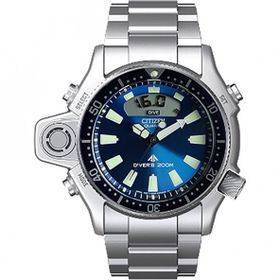 Citizen JP2000-67L Kol Saati