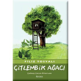 Çitlembik Ağacı’ndaki Masalcı - Ferda İzbudak Akıncı