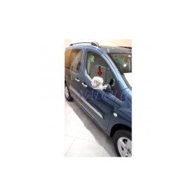 Citroen Berlingo 2012 Üzeri Krom 2 Parça Ayna Kapağı