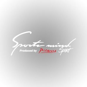 Citroen Picasso Sports Mind Oto Sticker