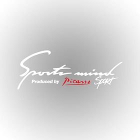 Citroen Picasso Sports Mind Oto Sticker