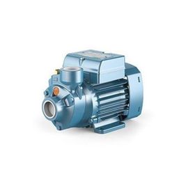 City Pumps P197 IP-500 Sürtme Fanlı Preferikal Su Pompası