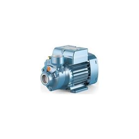 City Pumps P197 IP-500 Sürtme Fanlı Preferikal Su Pompası
