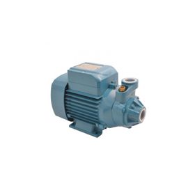 City Pumps P197 IP-500 Sürtme Fanlı Preferikal Su Pompası
