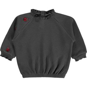 Civil Baby Uğur Böceği Nakışlı 6-18 Ay Gri - Antrasit Sweatshirt