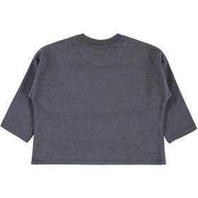 Civil Basic 6-18 Ay Füme Bebek Sweatshirt