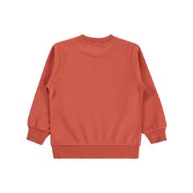 Civil Kaykay Köpek Baskılı 2-5 Yaş Turuncu Erkek Çocuk Sweatshirt