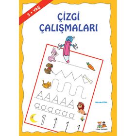 ÇİZGİ ÇALIŞMALARI - AYGÖREN DIRIM