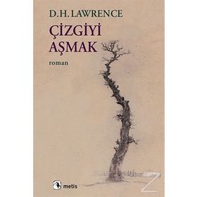 Çizgiyi Aşmak - d h lawrance