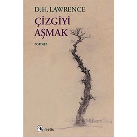 Çizgiyi Aşmak - d h lawrance