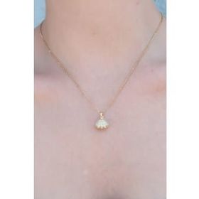 Clariss 316L Çelik Gold Renk Açılır Midye Model Kadın Kolye