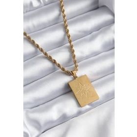 Clariss 316L Çelik Gold Renk Burgu Zincir Model Kutup Yıldız İşleme Detay Kadın Kolye