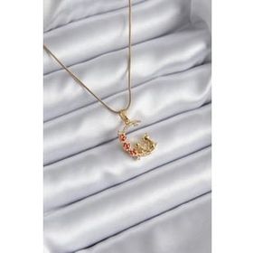 Clariss 316L Çelik Gold Renk Hilal Kedi Model Zirkon Taşlı Detay Kadın Kolye