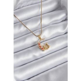 Clariss 316L Çelik Gold Renk Hilal Kedi Model Zirkon Taşlı Detay Kadın Kolye