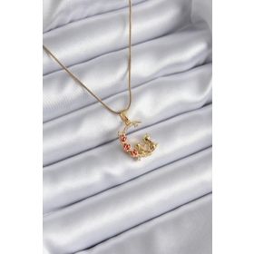 Clariss 316L Çelik Gold Renk Hilal Kedi Model Zirkon Taşlı Detay Kadın Kolye
