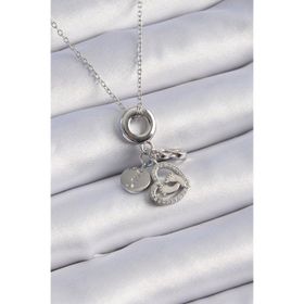 Clariss 316L Çelik Gümüş Renk Zirkon Taş Detay Kalp Model Charm Kadın Kolye