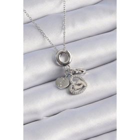 Clariss 316L Çelik Gümüş Renk Zirkon Taş Detay Kalp Model Charm Kadın Kolye