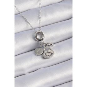 Clariss 316L Çelik Gümüş Renk Zirkon Taş Detay Kalp Model Charm Kadın Kolye