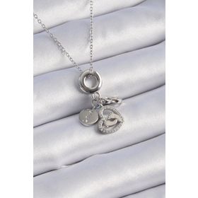Clariss 316L Çelik Gümüş Renk Zirkon Taş Detay Kalp Model Charm Kadın Kolye