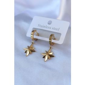Clariss BJ-BKP7739 316L Çelik Gold Renk Kutup Yıldızı Model Kadın Küpe