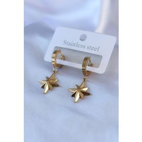 Clariss BJ-BKP7739 316L Çelik Gold Renk Kutup Yıldızı Model Kadın Küpe